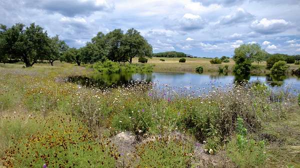 13.2 Acres of Land for Sale in Lampasas, Texas