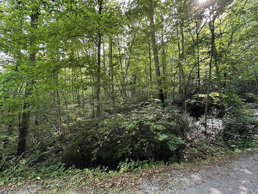 3.1 Acres of Land for Sale in Franklin, North Carolina