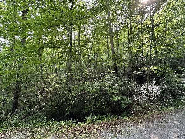 3.1 Acres of Land for Sale in Franklin, North Carolina