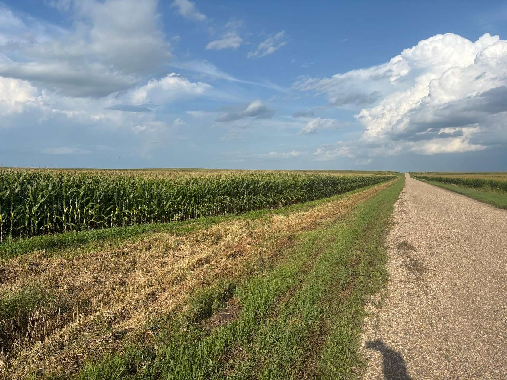 160 Acres of Land for Sale in Chokio, Minnesota