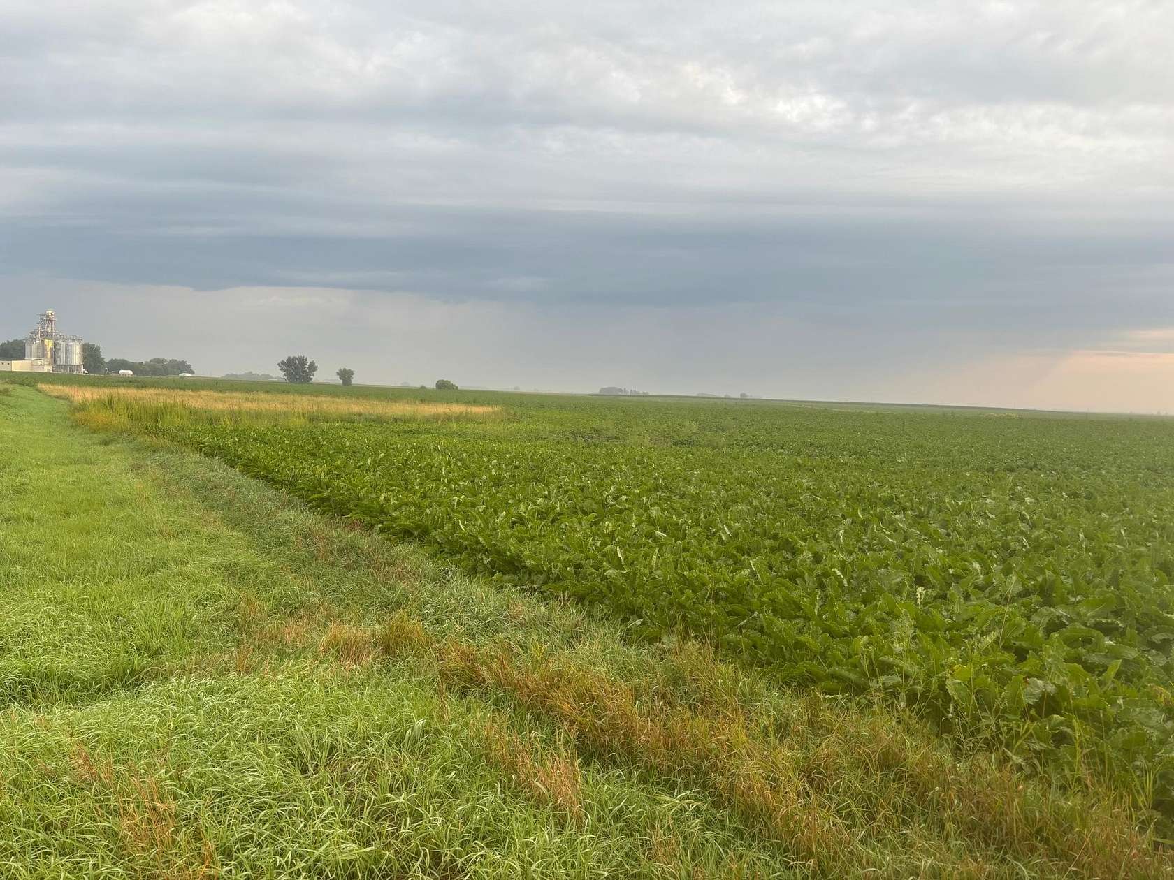 246 Acres of Land for Auction in De Graff, Minnesota