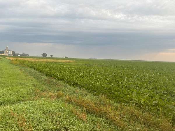246 Acres of Land for Auction in De Graff, Minnesota