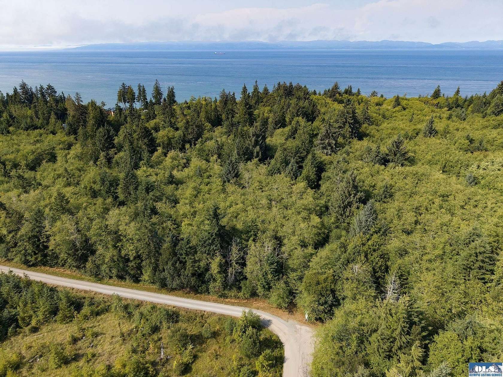 20 Acres of Land for Sale in Port Angeles, Washington