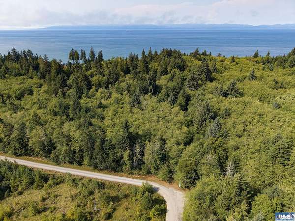 20 Acres of Land for Sale in Port Angeles, Washington