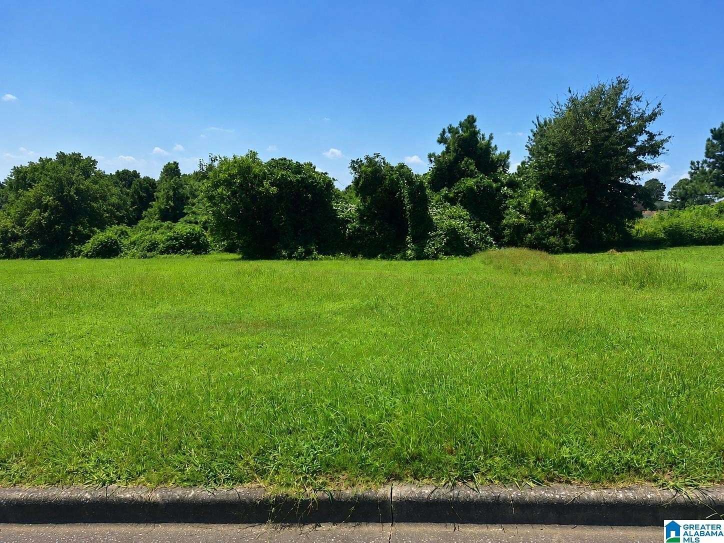 0.2 Acres of Residential Land for Sale in Birmingham, Alabama