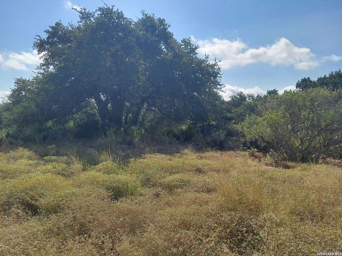 1.64 Acres of Residential Land for Sale in New Braunfels, Texas
