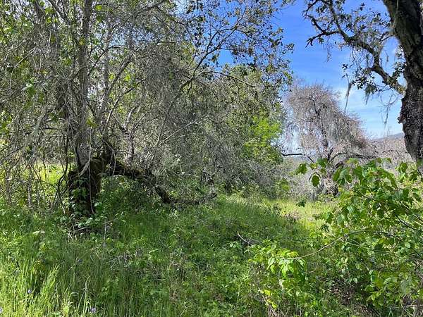 10.8 Acres of Land for Sale in Carmel Valley, California