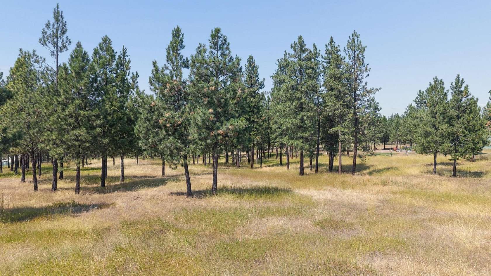 5 Acres of Land for Sale in Eureka, Montana