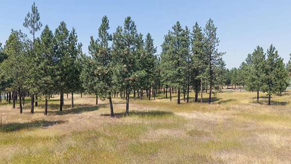 5 Acres of Land for Sale in Eureka, Montana