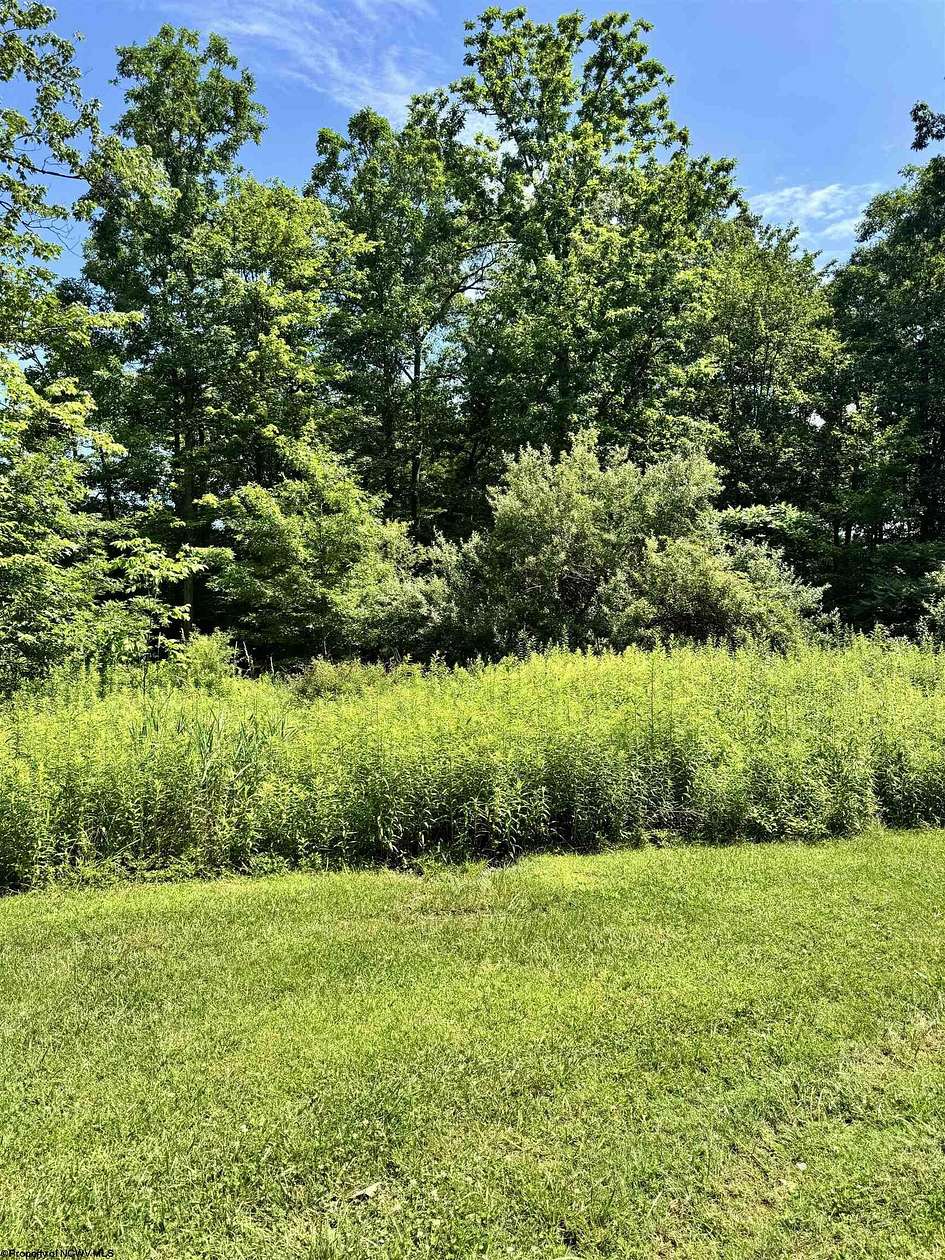2 Acres of Residential Land for Sale in Bruceton Mills, West Virginia