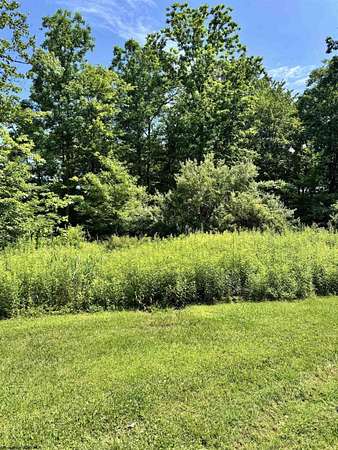 2 Acres of Residential Land for Sale in Bruceton Mills, West Virginia