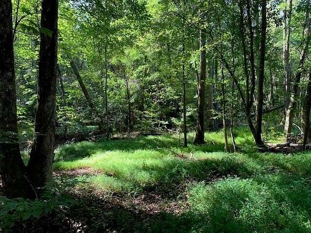 35.6 Acres of Land for Sale in Fairburn, Georgia