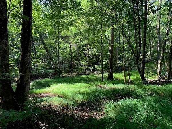 35.6 Acres of Land for Sale in Fairburn, Georgia