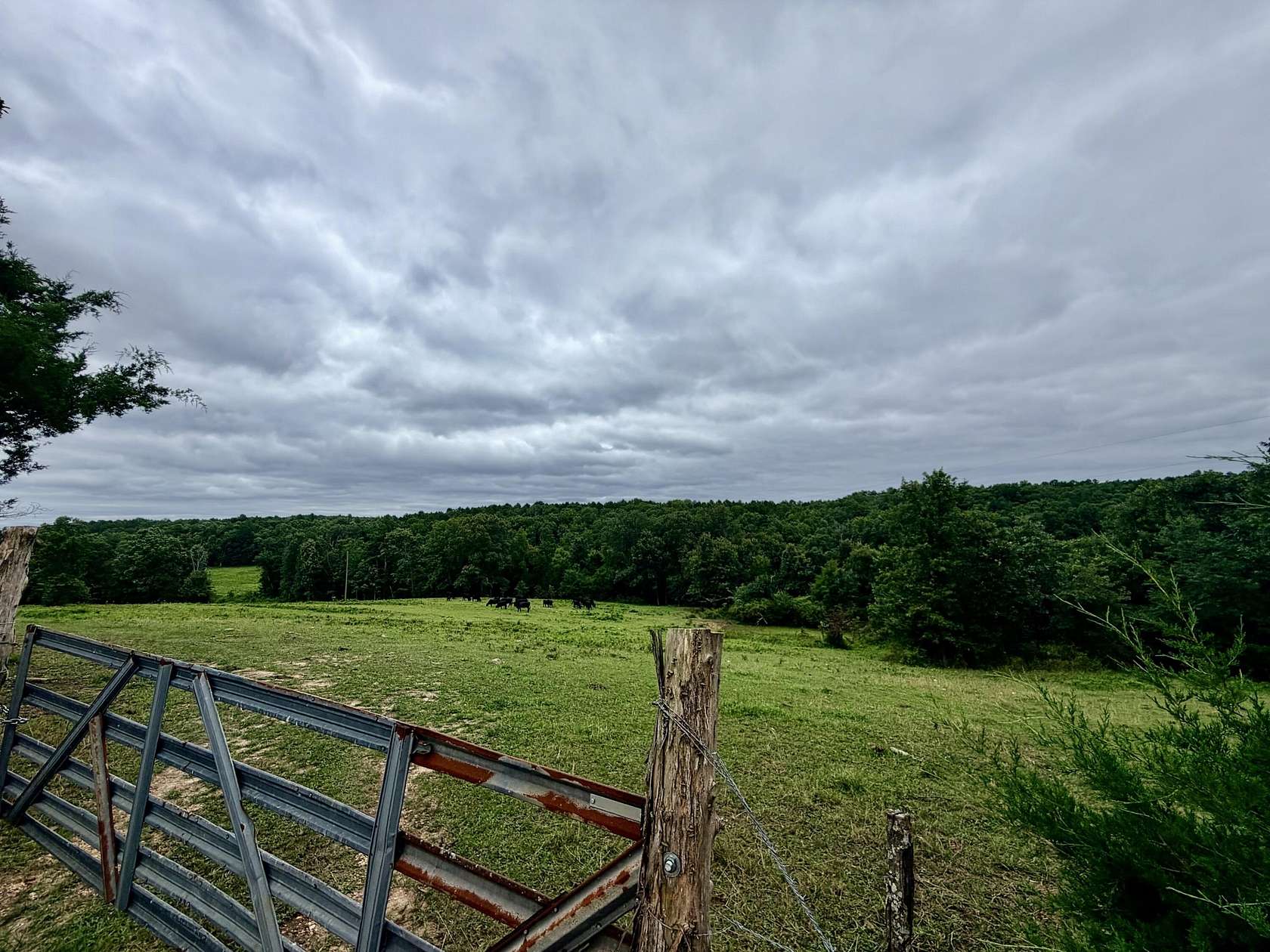 26 Acres of Recreational & Residential Land for Sale in Winona, Missouri