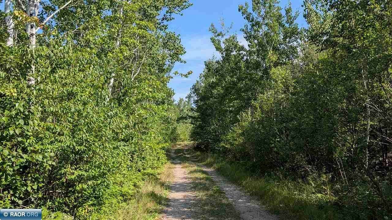 34 Acres of Recreational Land for Sale in Cook, Minnesota