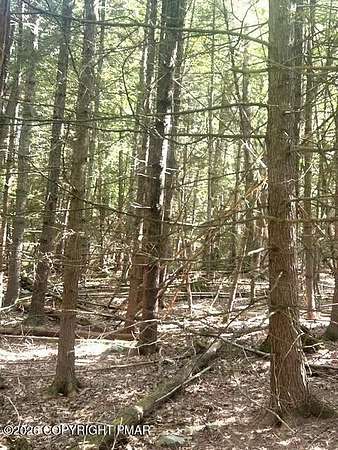 8.18 Acres of Residential Land for Sale in Cresco, Pennsylvania