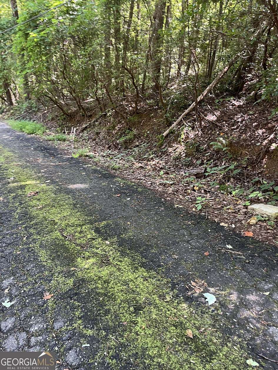 0.68 Acres of Residential Land for Sale in Clayton, Georgia