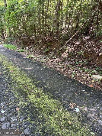 0.68 Acres of Residential Land for Sale in Clayton, Georgia