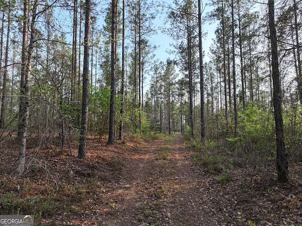 122 Acres of Recreational & Residential Land for Sale in Lumpkin, Georgia