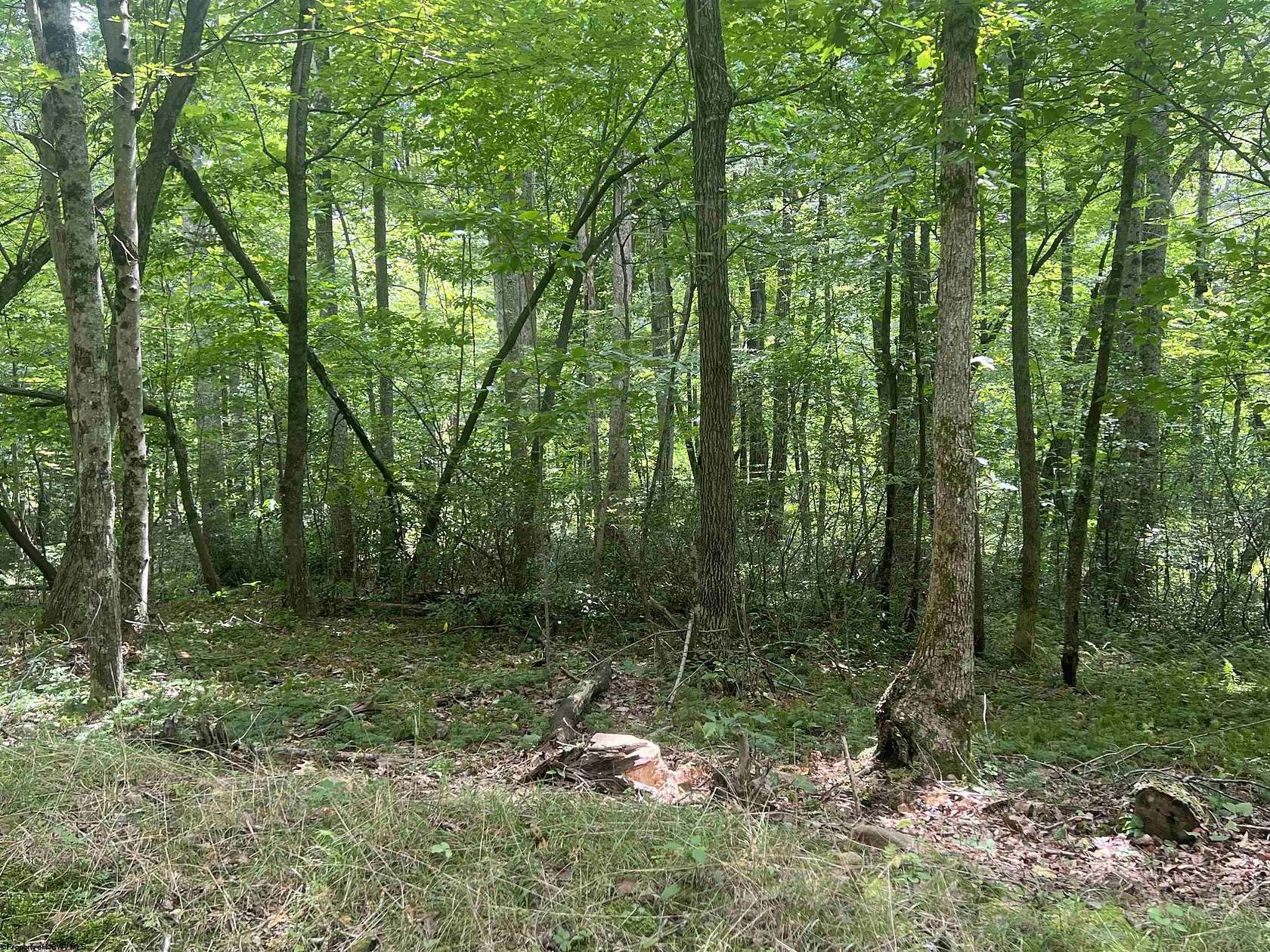 3.39 Acres of Mixed-Use Land for Sale in Buckhannon, West Virginia