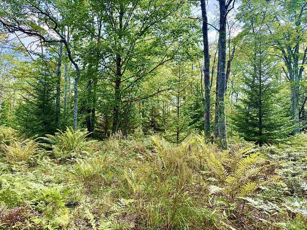 3.8 Acres of Residential Land for Sale in Davis, West Virginia