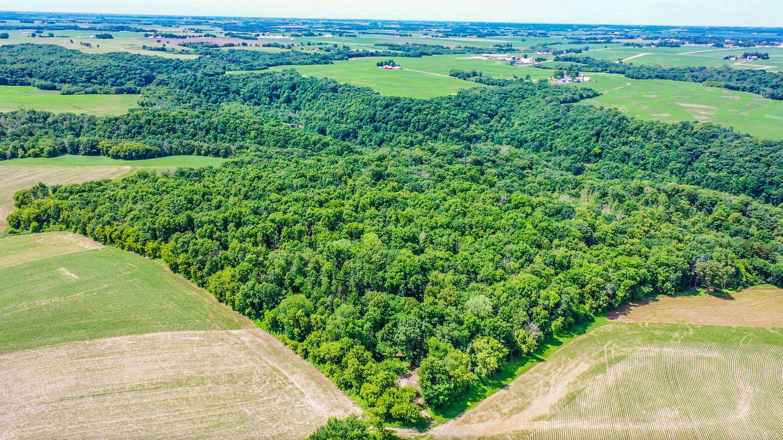 40 Acres of Land for Sale in Warren Township, Minnesota