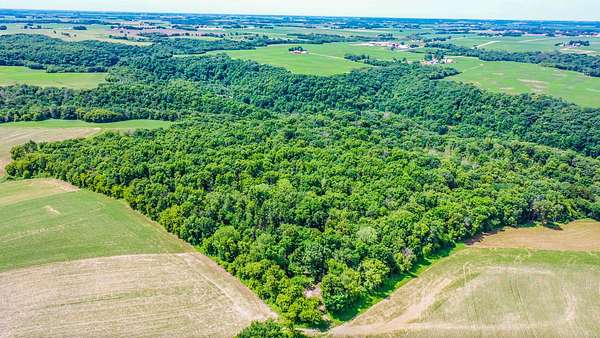 40 Acres of Land for Sale in Warren Township, Minnesota