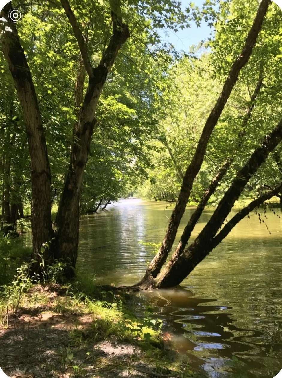 1.1 Acres of Residential Land for Sale in Cadiz, Kentucky