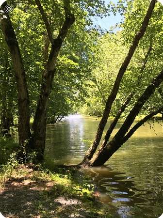 1.1 Acres of Residential Land for Sale in Cadiz, Kentucky