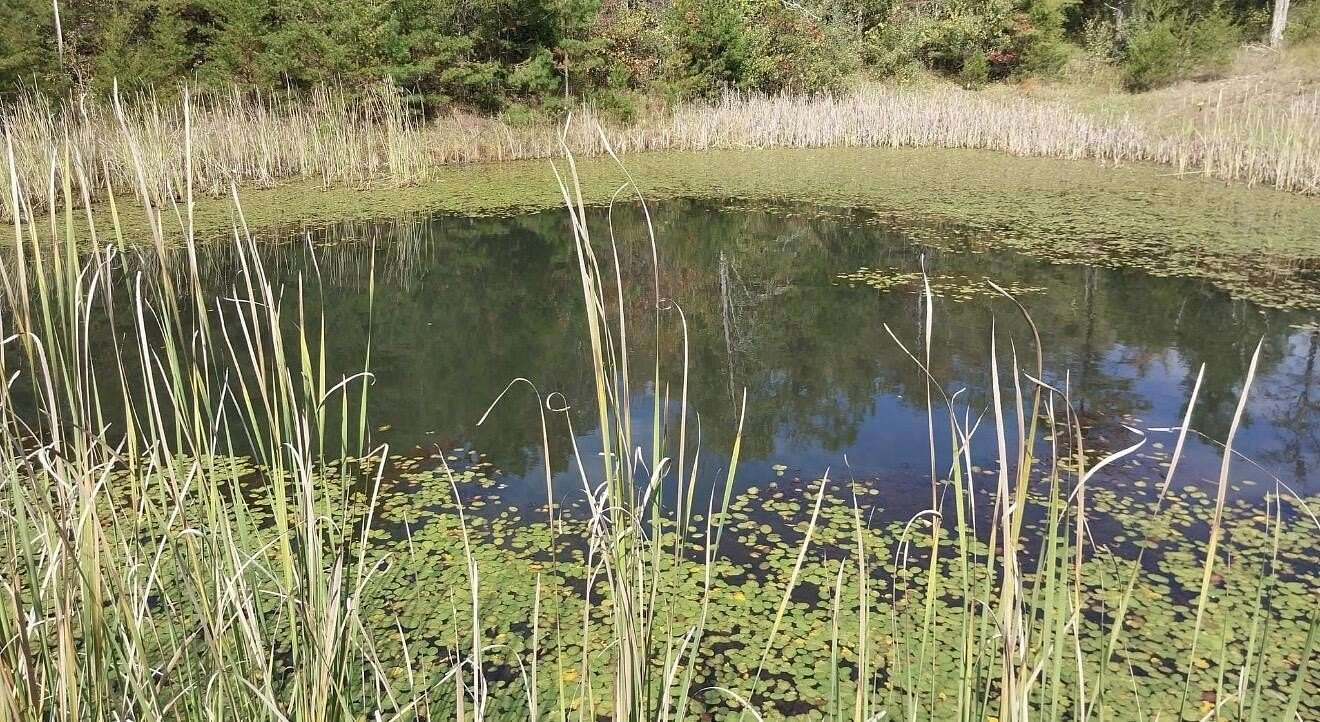 73 Acres of Land for Sale in Somerset, Kentucky