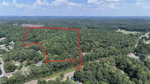 38.4 Acres of Recreational & Residential Land for Sale in Cottondale, Alabama