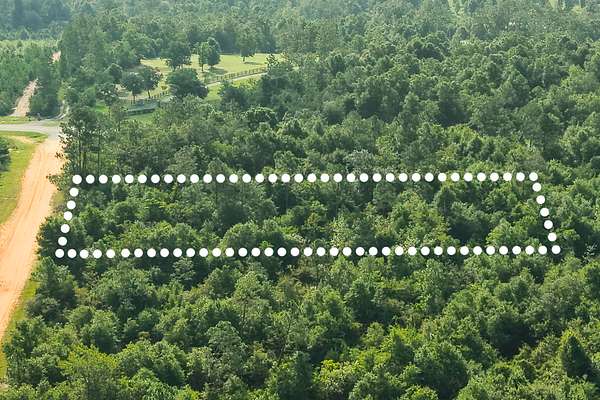 1 Acre of Residential Land for Sale in Compass Lake, Florida