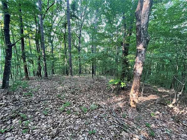 0.2 Acres of Residential Land for Sale in Chickamauga, Georgia