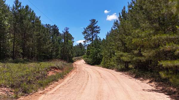90 Acres of Recreational Land for Sale in Musella, Georgia