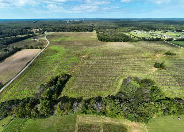 5 Acres of Land for Sale in Hillsboro, Tennessee