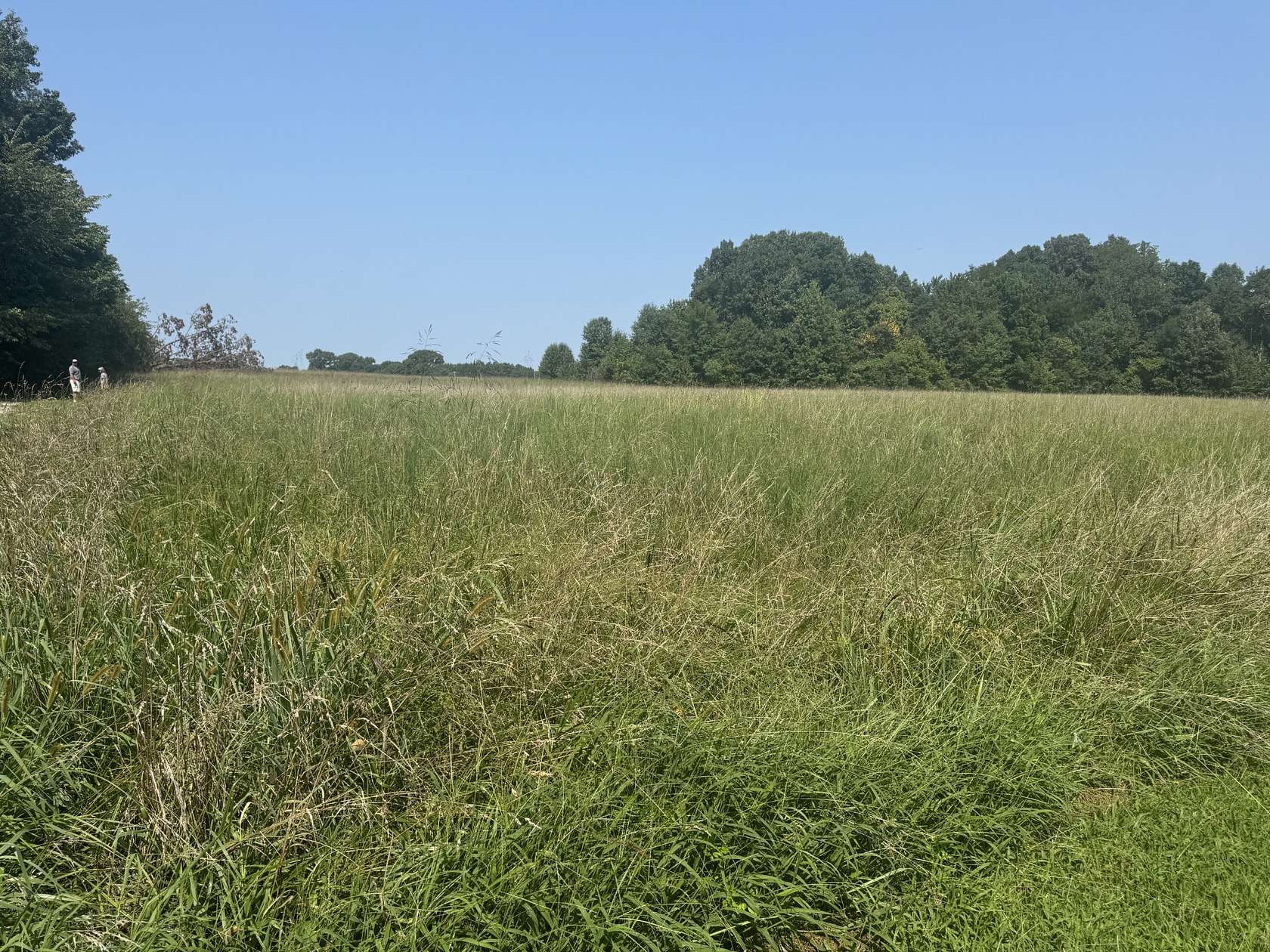 18.2 Acres of Land for Sale in Medina, Tennessee