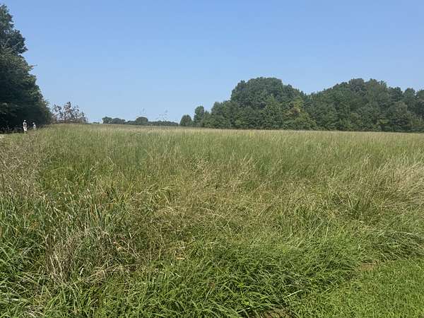 18.2 Acres of Land for Sale in Medina, Tennessee