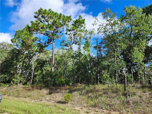 0.23 Acres of Residential Land for Sale in Dunnellon, Florida