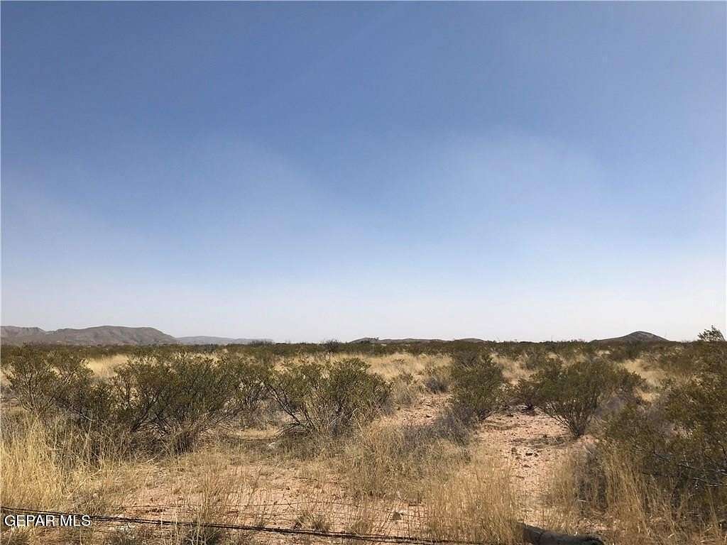 21.5 Acres of Recreational Land for Sale in Dell City, Texas