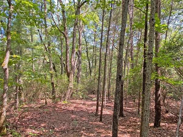 10.6 Acres of Land for Sale in Dahlonega, Georgia