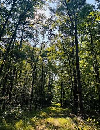 30 Acres of Recreational & Residential Land for Sale in Jefferson, Texas