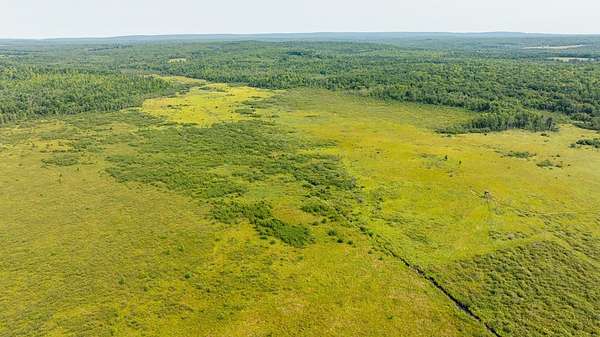 125 Acres of Recreational Land for Sale in Chetek, Wisconsin