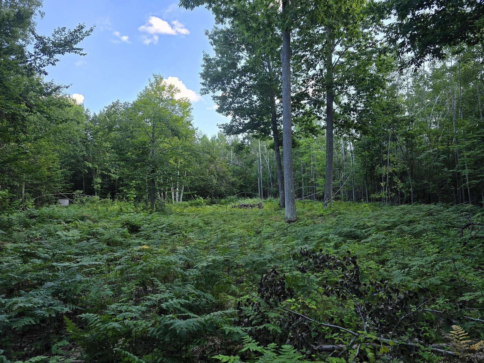 5.76 Acres of Residential Land for Sale in Cheboygan, Michigan