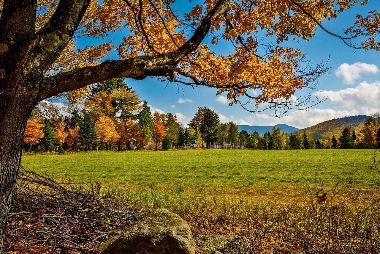 8.47 Acres of Residential Land for Sale in Lake Placid, New York