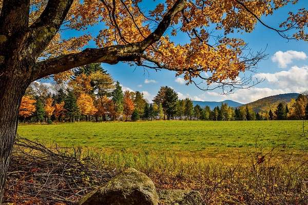 8.47 Acres of Residential Land for Sale in Lake Placid, New York