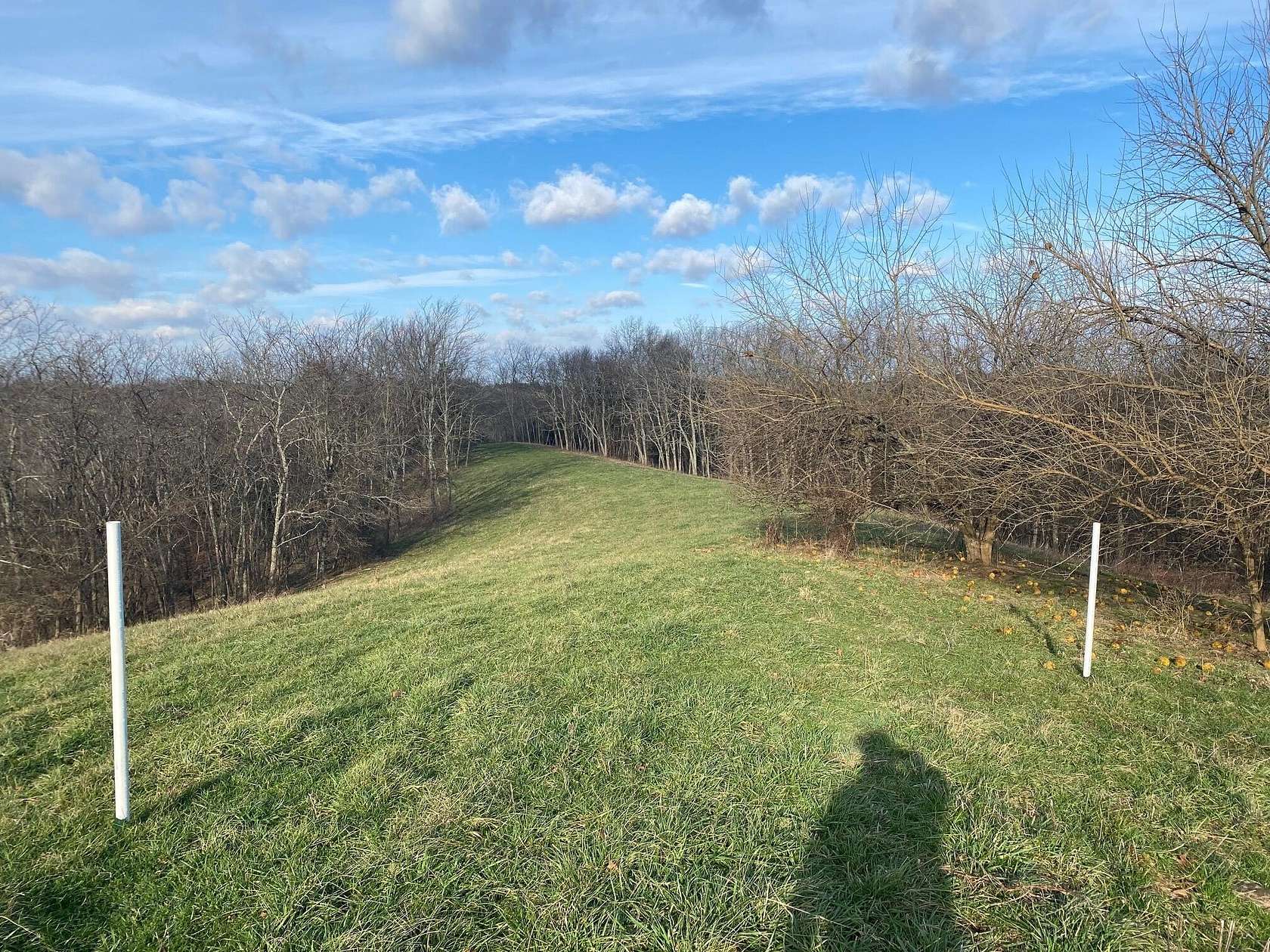 13 Acres of Agricultural Land for Sale in Carlisle, Kentucky