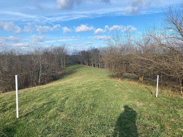 13 Acres of Agricultural Land for Sale in Carlisle, Kentucky