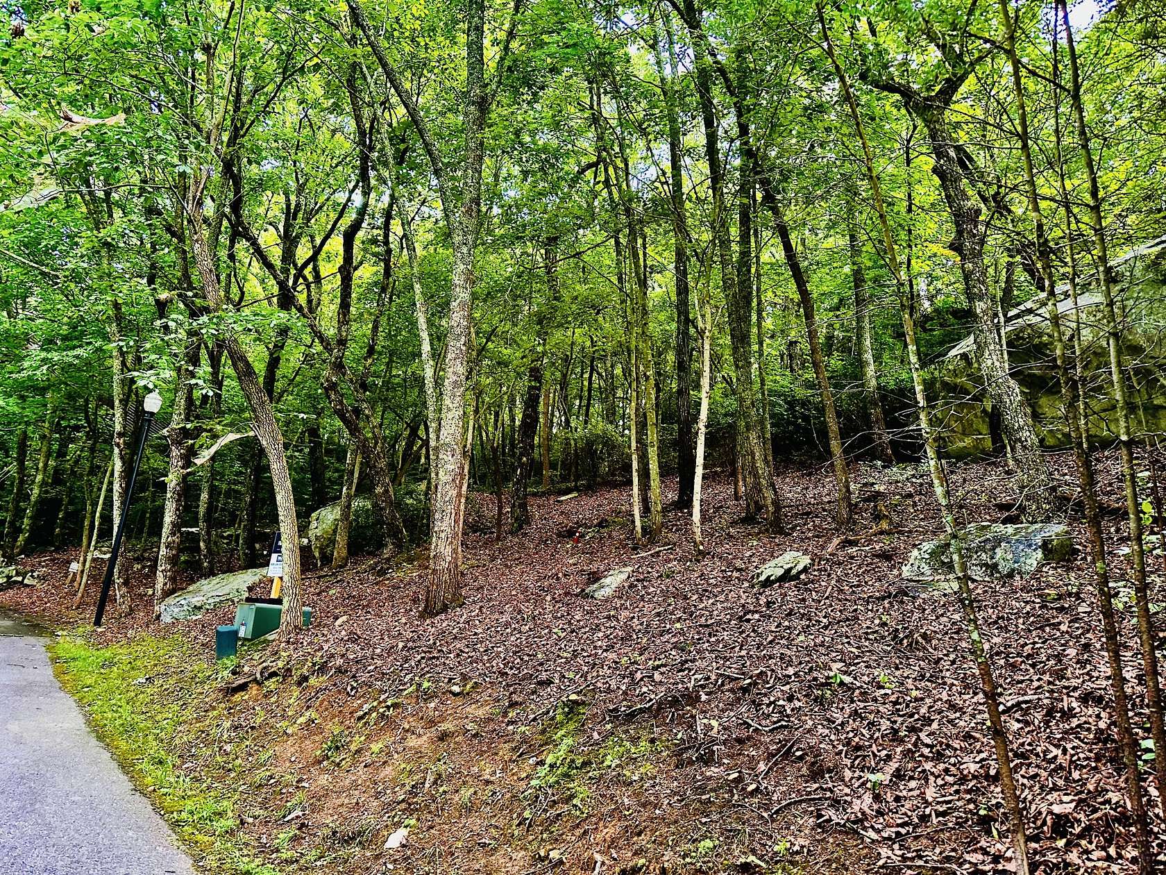 0.1 Acres of Residential Land for Sale in Rising Fawn, Georgia