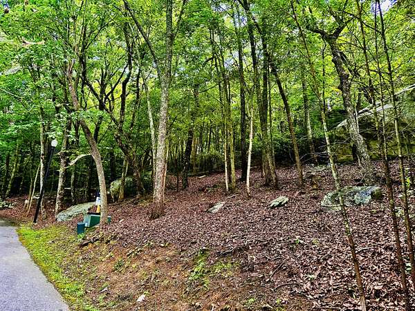 0.1 Acres of Residential Land for Sale in Rising Fawn, Georgia
