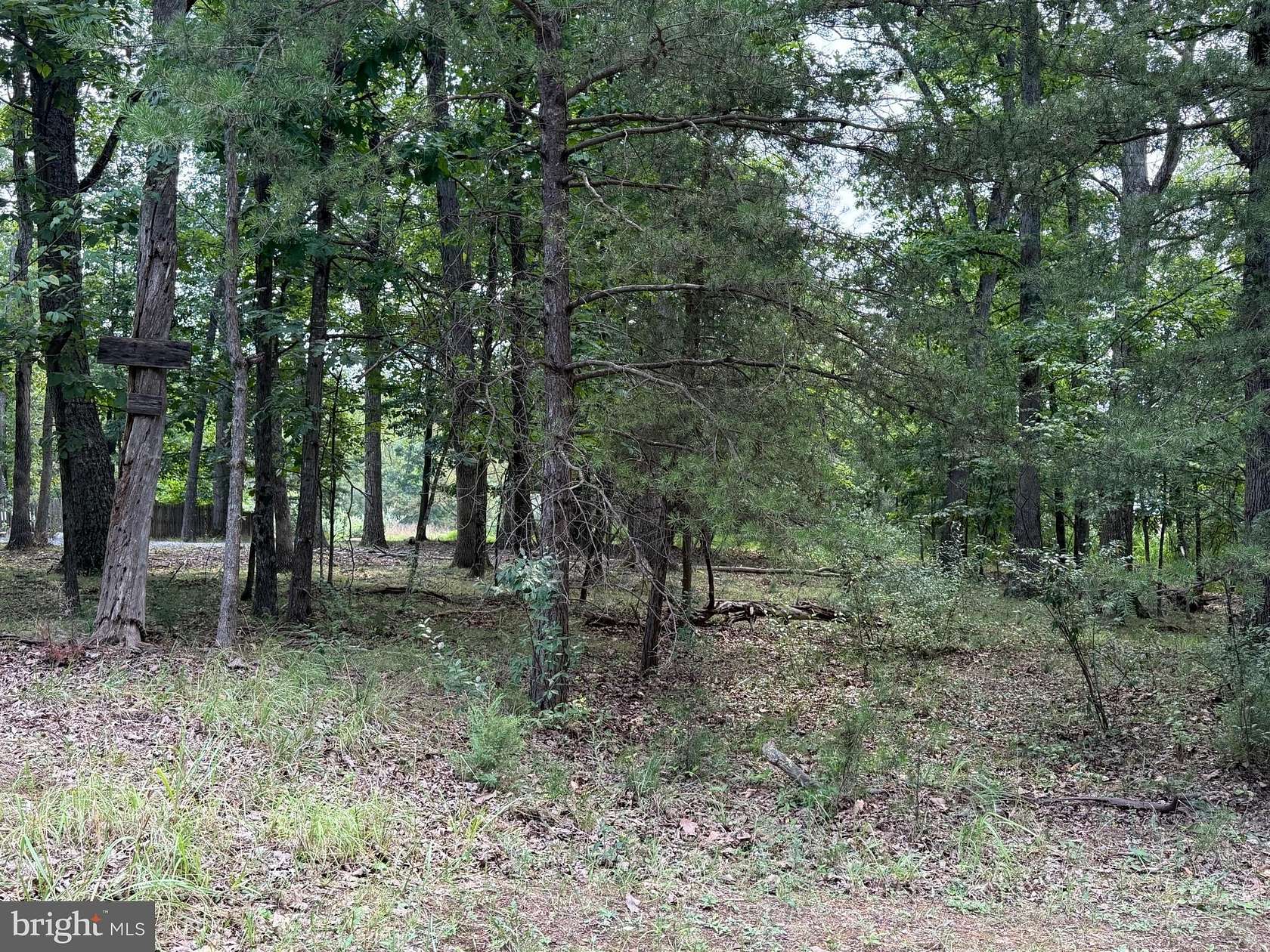 6.79 Acres of Residential Land for Sale in Gore, Virginia